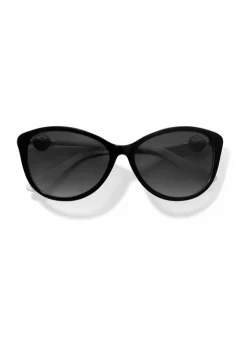 Hot Sale ???? Brighton® Ferrara ???? Sunglasses ???? -Brighton shop Belk 855